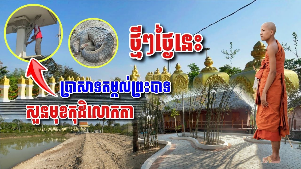 ថ្មីៗ​ថ្ងៃនេះ​ ប្រាសាទតម្កល់ព្រះបាទ​ សួនមុខកដិលោកតា #អាមាត្យជន 