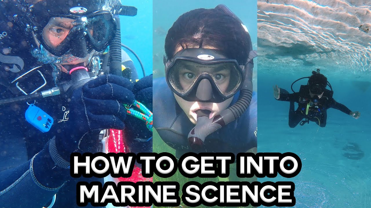 How to Get Into Marine Science (and why I got out)