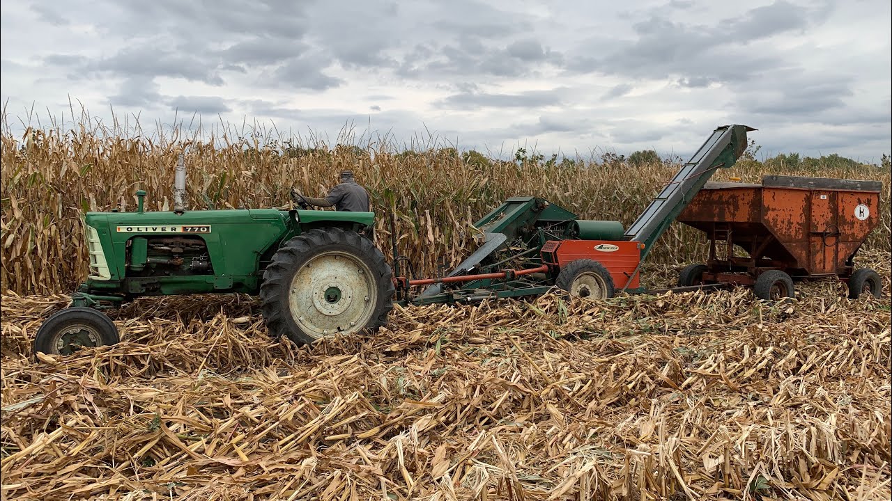 Oliver 770 picks corn, Oliver Row Crop 77's put it in a crib and an Oliver 880 dries corn.