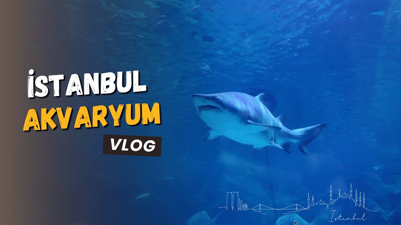 İstanbul Akvaryum | Florya Akvaryum | İstanbul Gezilecek Yerler Vlog 2024