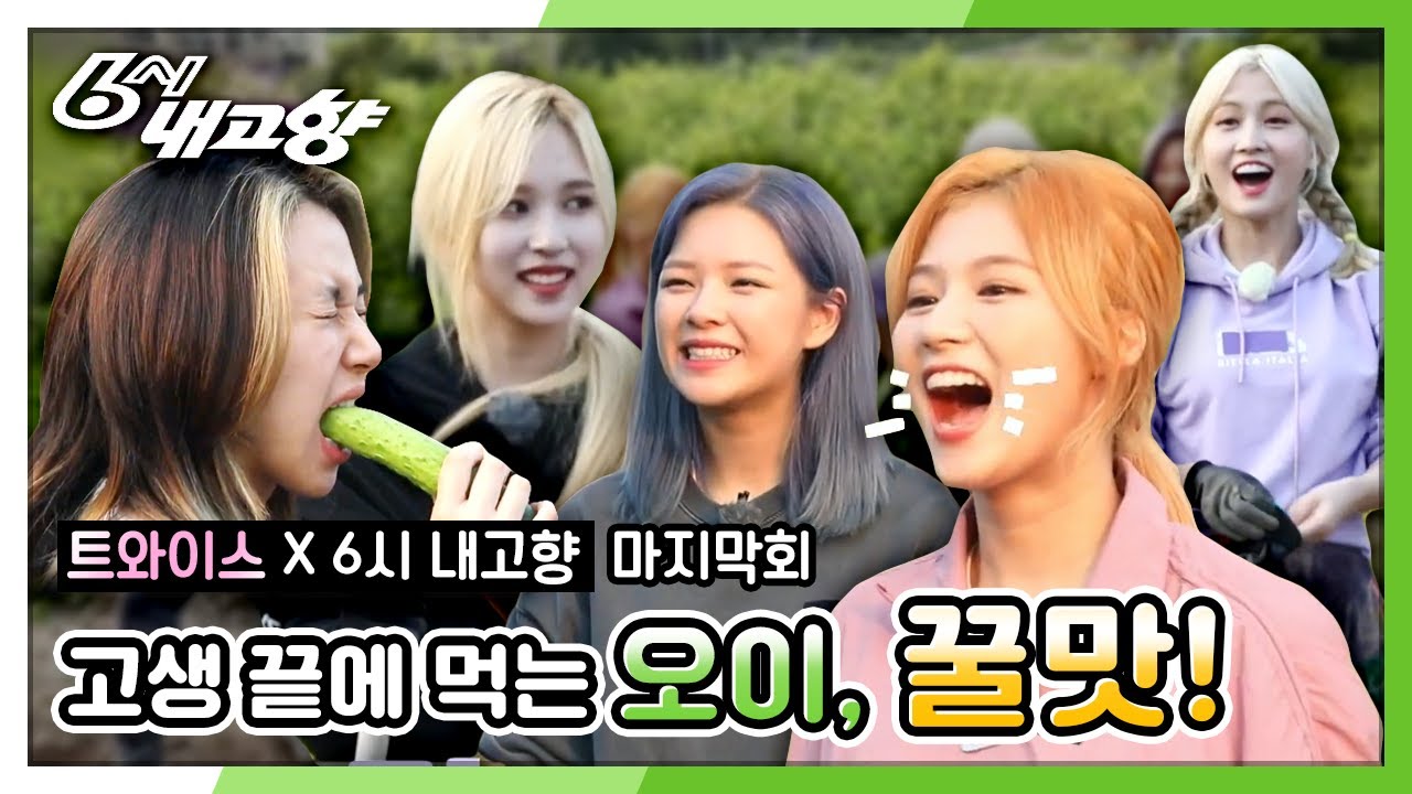 트와이스, 참깨밭 대결 승자는???♡  #트와이스 가 간다 #twice #once  (청년회장이 간다 2부) [6시 내고향] 20200615