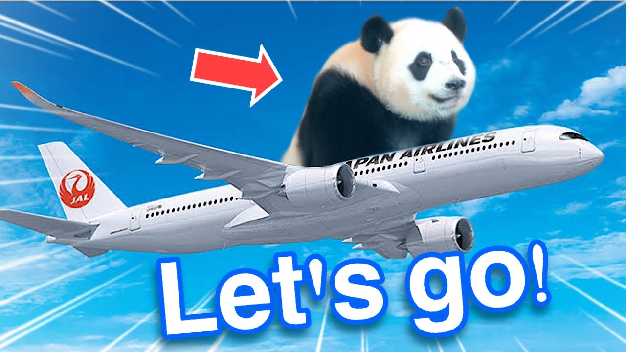 От аэропорта Ханэда до гигантской панды 🐼 Рай! Путешествие по единственному в Японии саду панд
