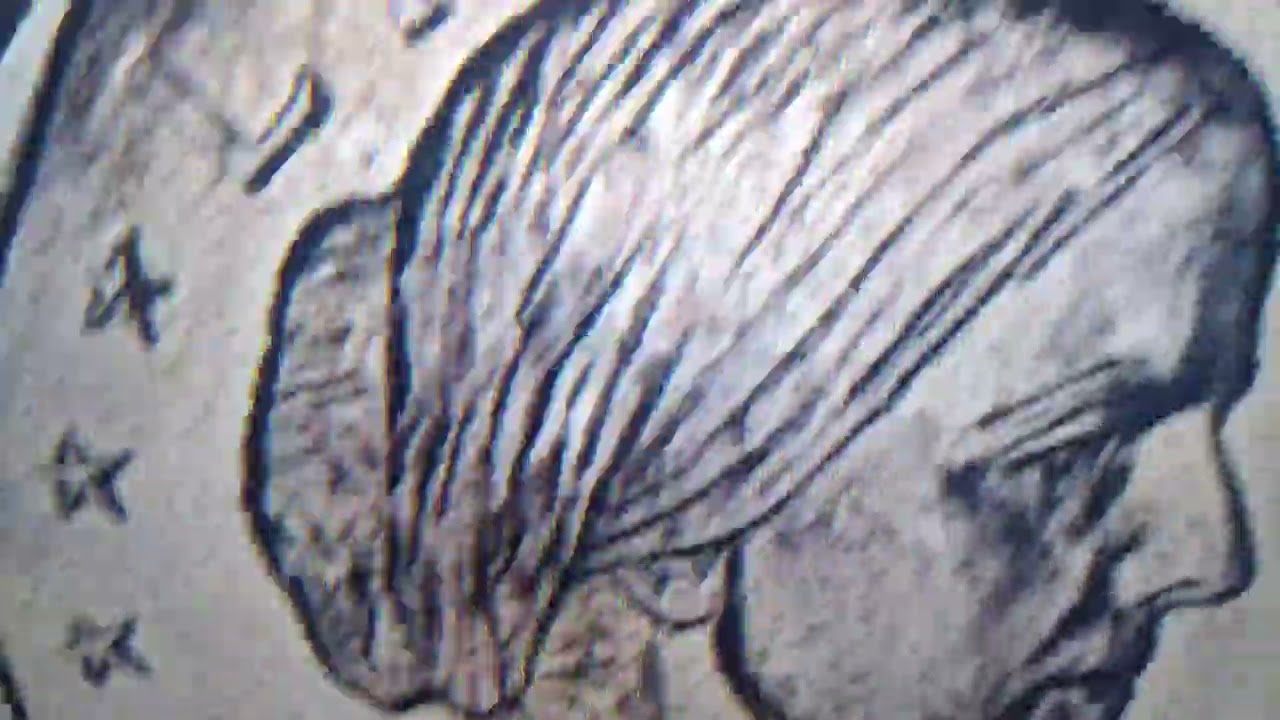 1979 1980 1981 Rare Susan B Anthony Dollar Coins Worth Big Money In Your Pocket