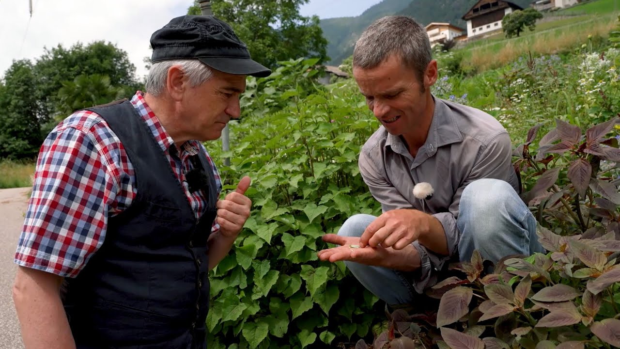 ALTO ADIGE - SÜDTIROL, BARBIANO: NELL'ORTO DEL GUSTO DI HARALD