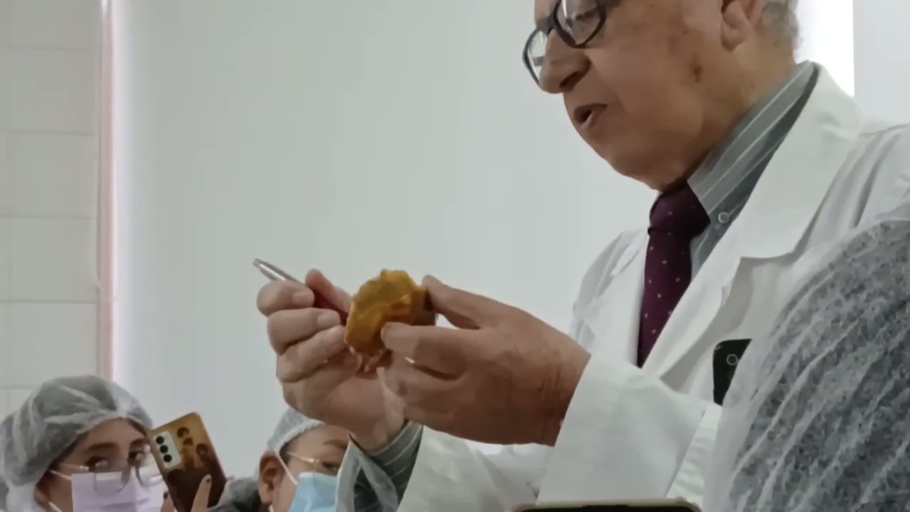 Clase teorica Anatomía 10/03/26