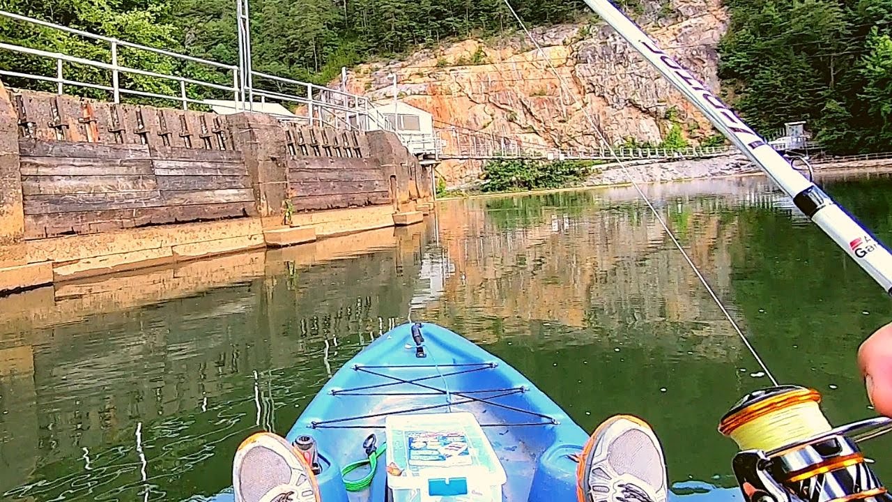 What's In This MINI Lake - Ocoee Lake #2