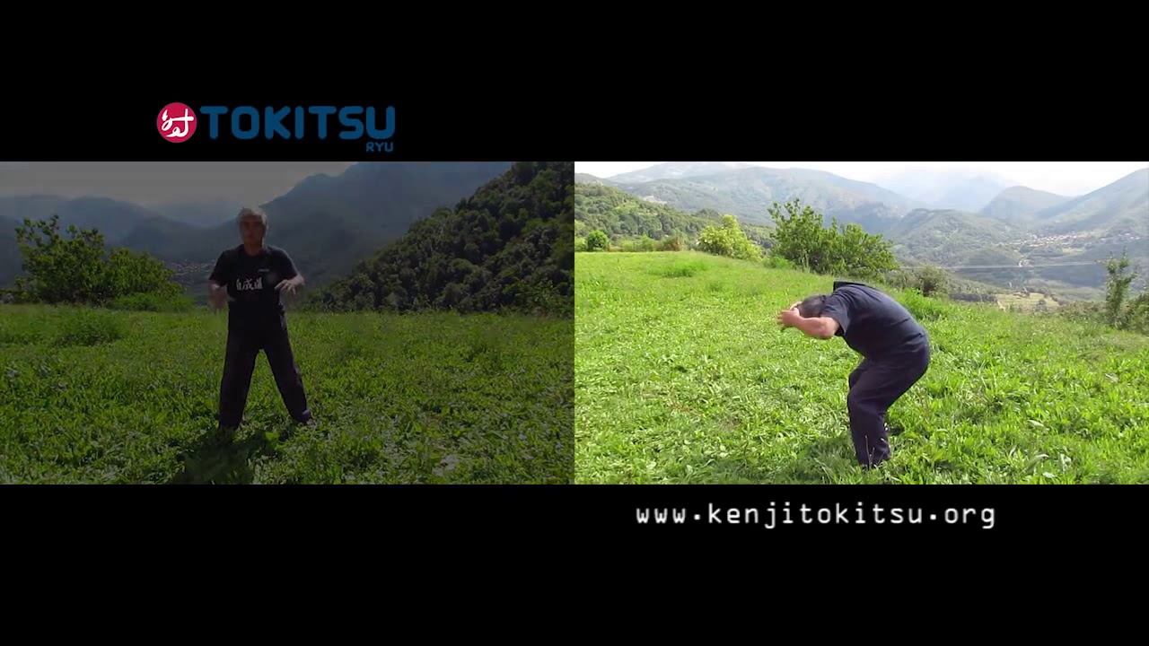 Entraînement au Jiseidô Kikô avec Senseï Kenji Tokitsu, 10e Dan