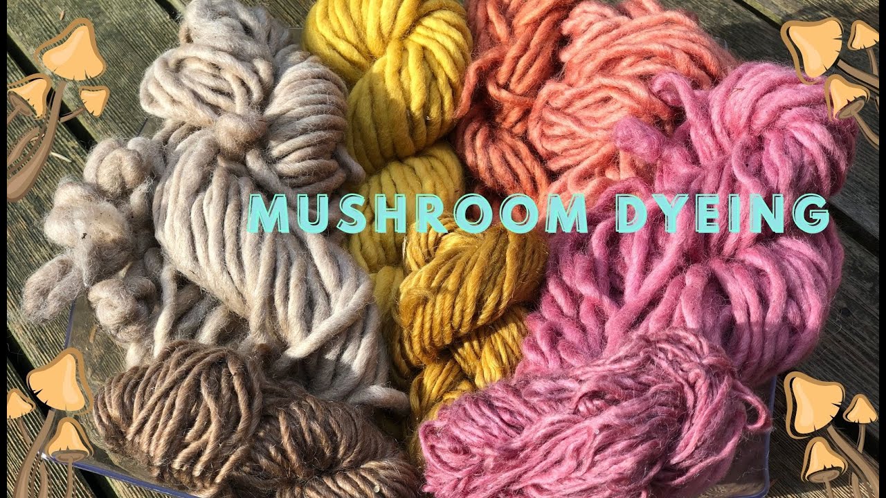 Natural Dyeing with Mushrooms ​⁠@WildcraftDyeing