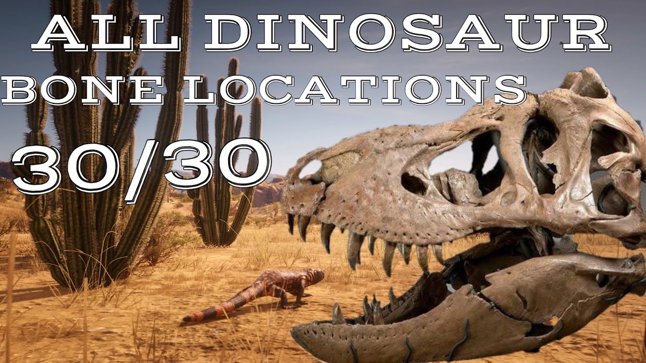 All Dinosaur Bone Locations In Red Dead Redemption 2 (30/30 Bones)