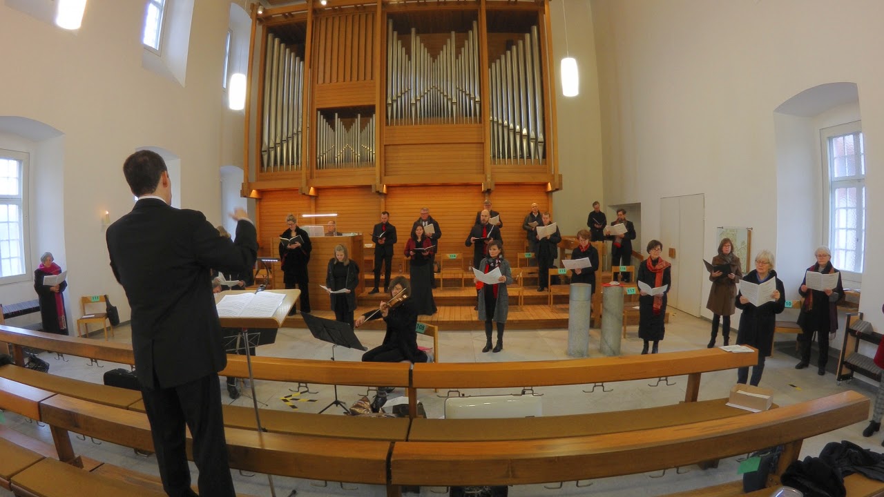 Franz Xaver Brixi: Missa brevis in D: Benedictus | Florian Kontschak | Chor der Hofkirche Bruchsal