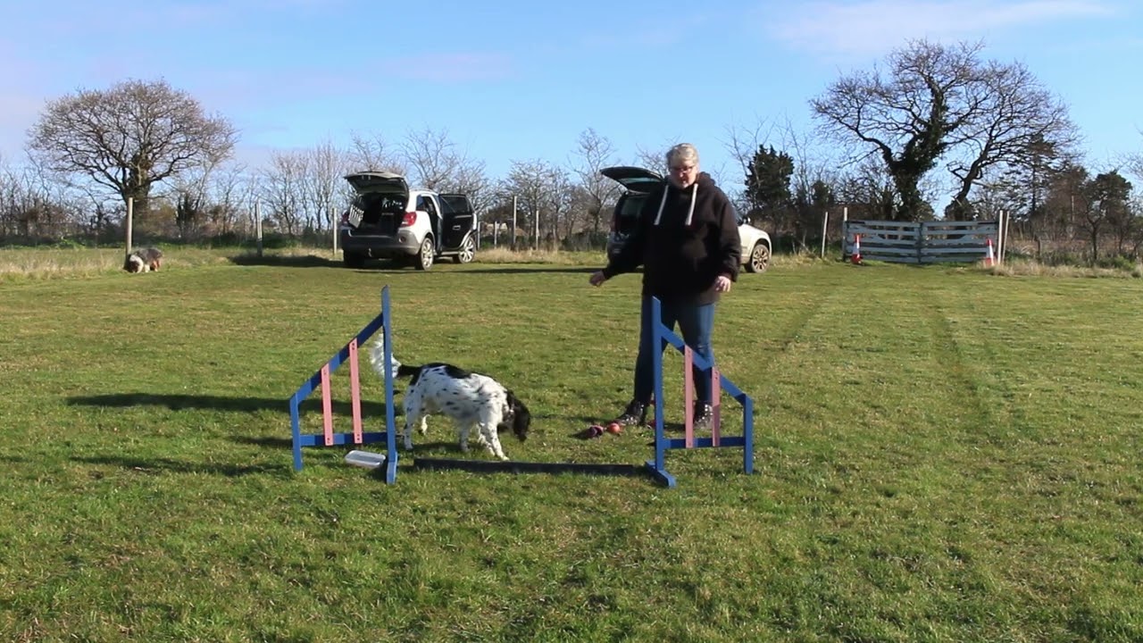 Beginner Agility Training - Front Cross
