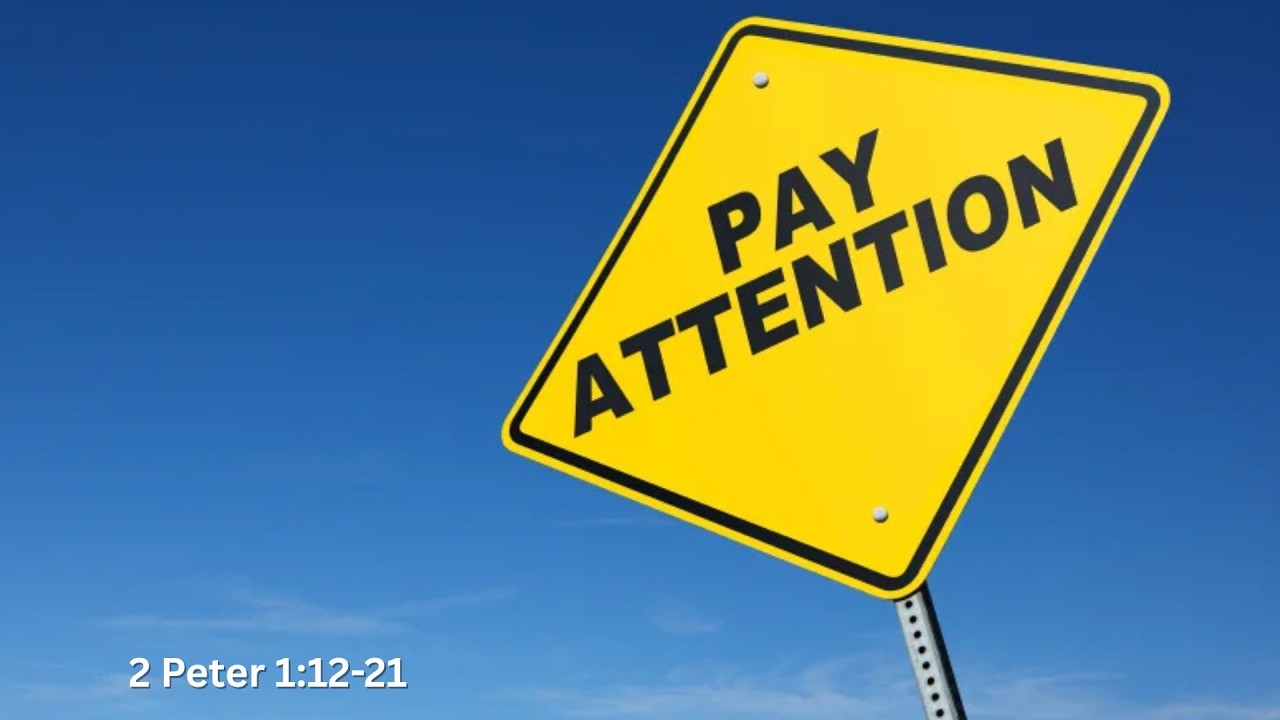 Pay Attention - Sunday, February 15, 2026
