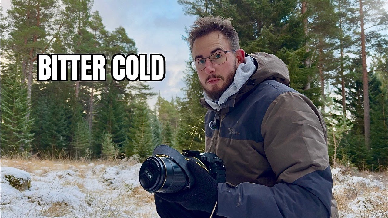 A Cold Winter Walk Through Remote Woods in Winter