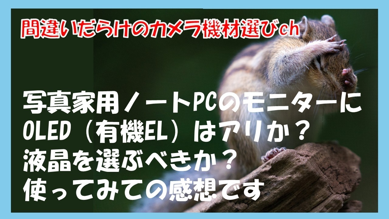 間違いだらけのカメラ機材選びch 「写真家用ノートPCのモニターにOLED（有機EL）はアリか？液晶を選ぶべきか？使ってみての感想です」