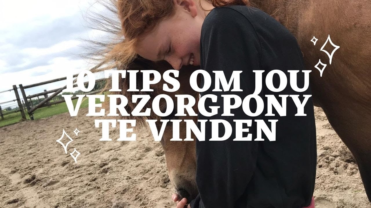 10 TIPS OM EEN VERZORGPONY TE VINDEN!