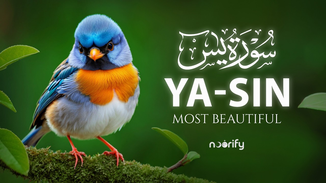 Surah Yaseen (Yasin) سورة يس | Soothing Night Quran for Anxiety Relief & Inner Peace | Lofi Quran
