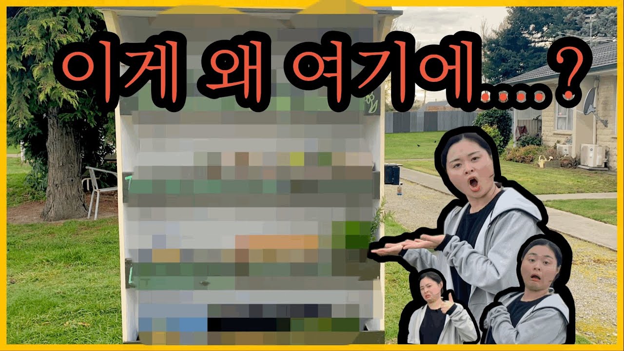🇳🇿 아닛 깡시골에 이런 게 있다니..? / 한인 없는 뉴질랜드 시골은 이렇게 생겼답니다