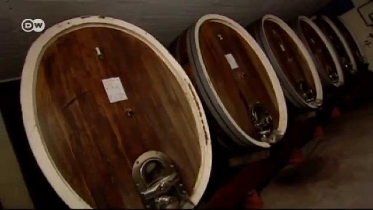 Alemania, tierra de vinos (03): una variedad joven | Euromaxx