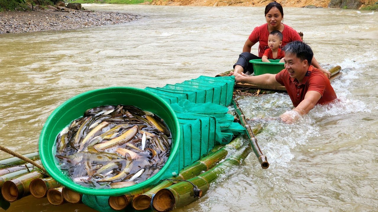 How to trap get a lot of fish in the rainy season, floods - Chúc Tòn Bình