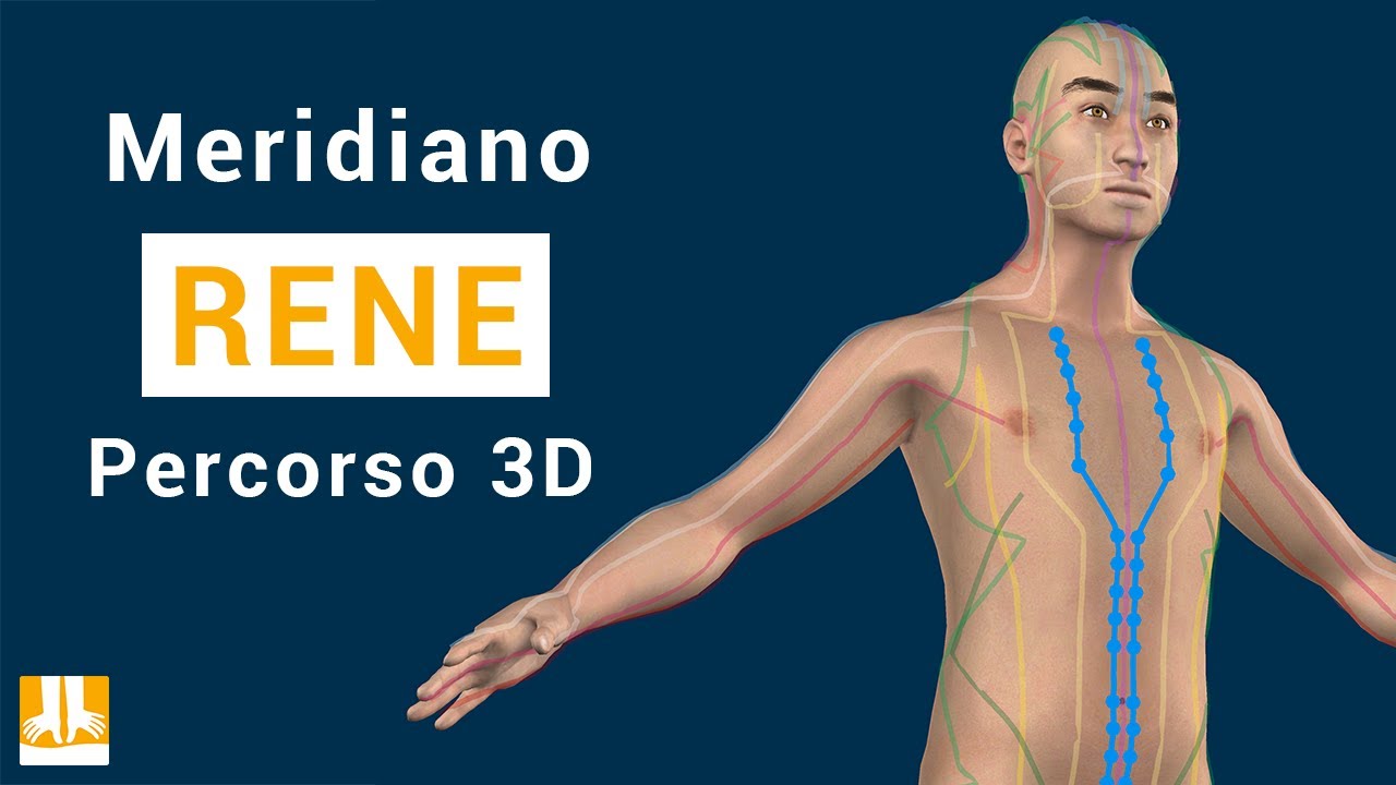 Meridiano del Rene - Percorso in 3D punto per punto