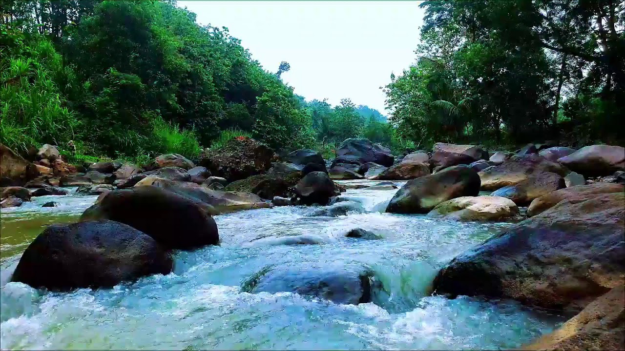 Tranquil River Sounds for Meditation and Focus – 12H Flow