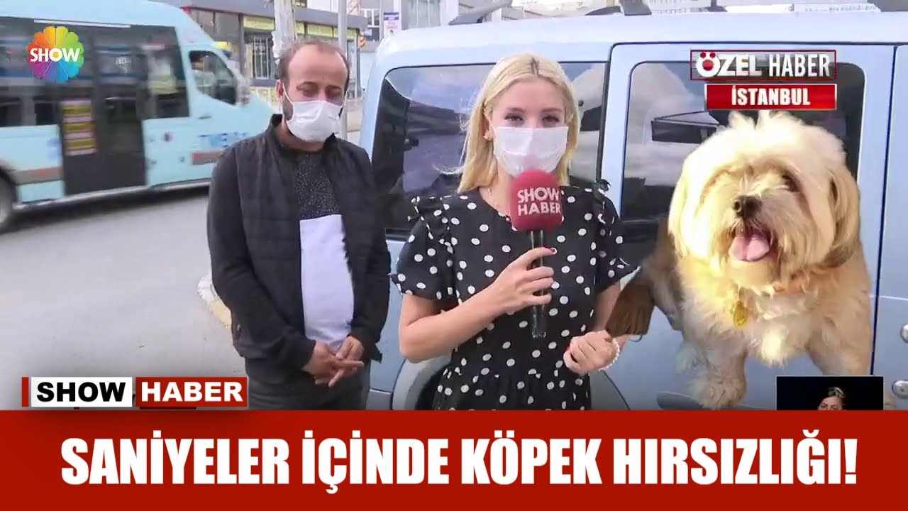 Saniyeler içinde köpek hırsızlığı!