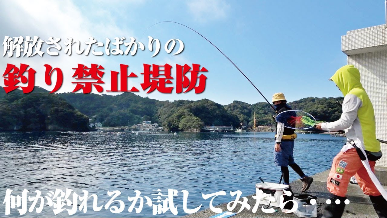 釣り禁堤防が解放されたと聞いて駆け込んだら、回遊魚が連発する超楽しい時間になった件。