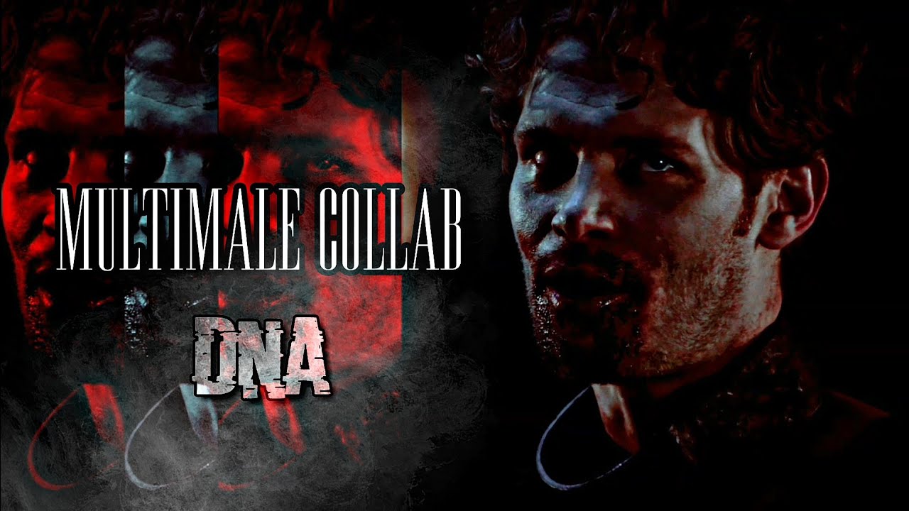 Multimale || DNA [Collab]