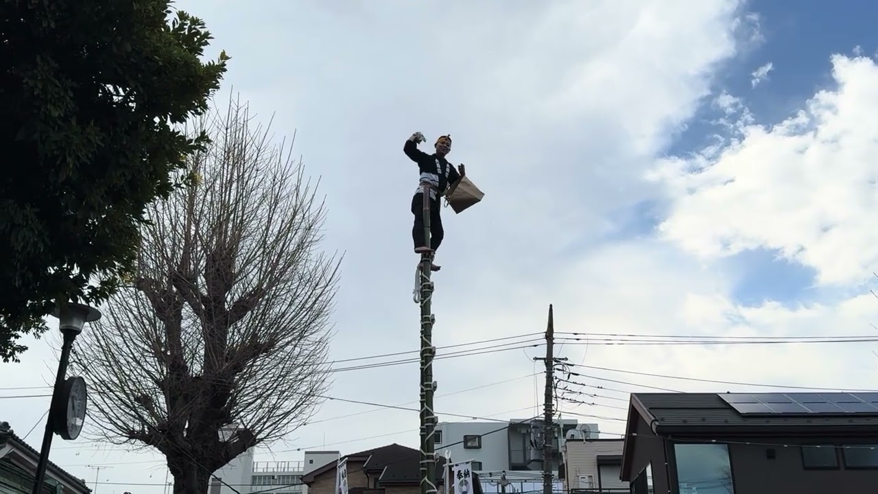 2026年1月11日