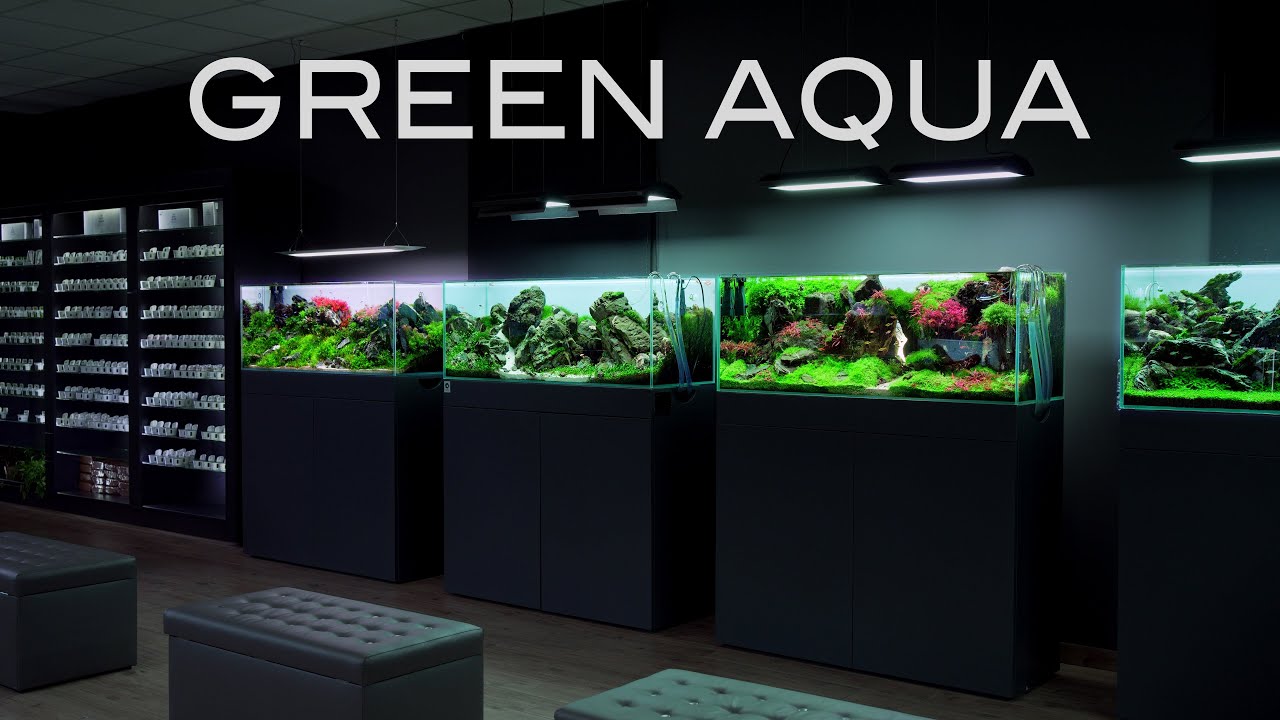 Акваскейп тур в магазине и галерее Green Aqua Aquascaping | Часть 1
