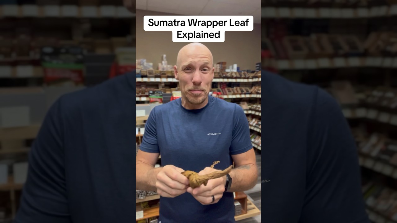 Sumatra wrapper leaf explained! #cigars #cigarsdaily