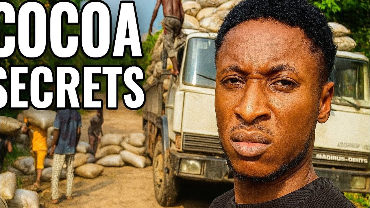 Cocoa Trading in Nigeria: What NO ONE Tells You