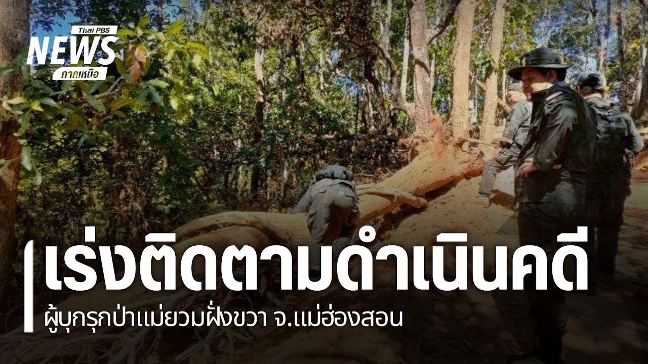 เร่งติดตามดำเนินคดีผู้บุกรุกป่าแม่ยวมฝั่งขวา จ.แม่ฮ่องสอน