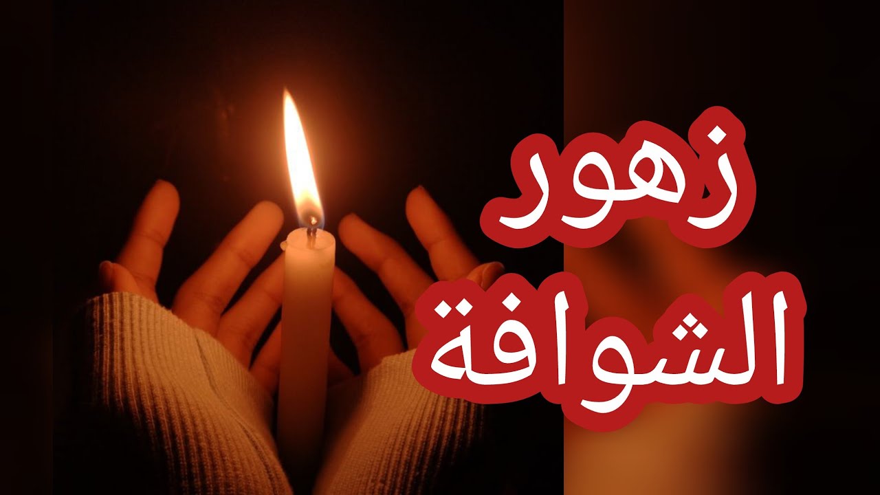 زهور الشوافة ...