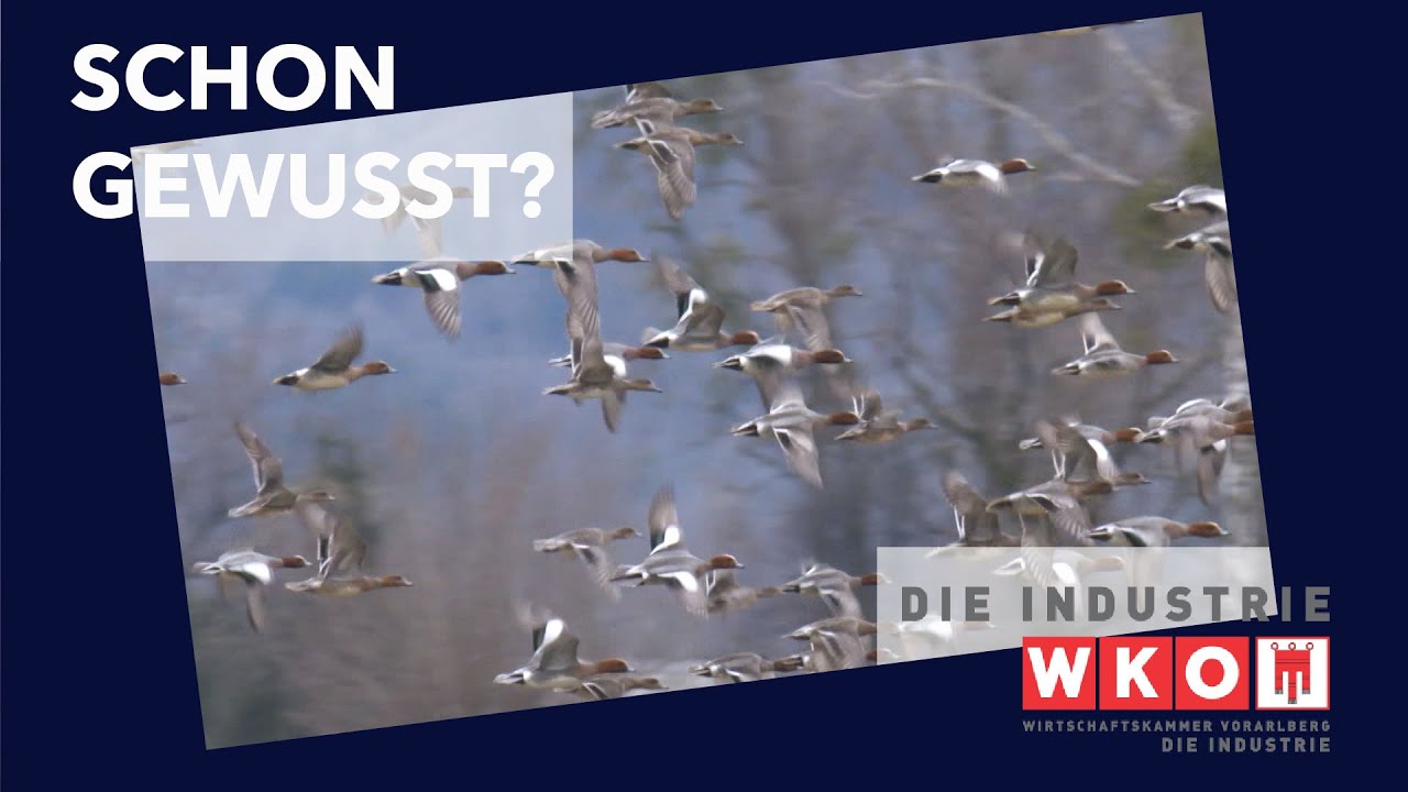 Schon gewu&szlig;t? Das Rheindelta