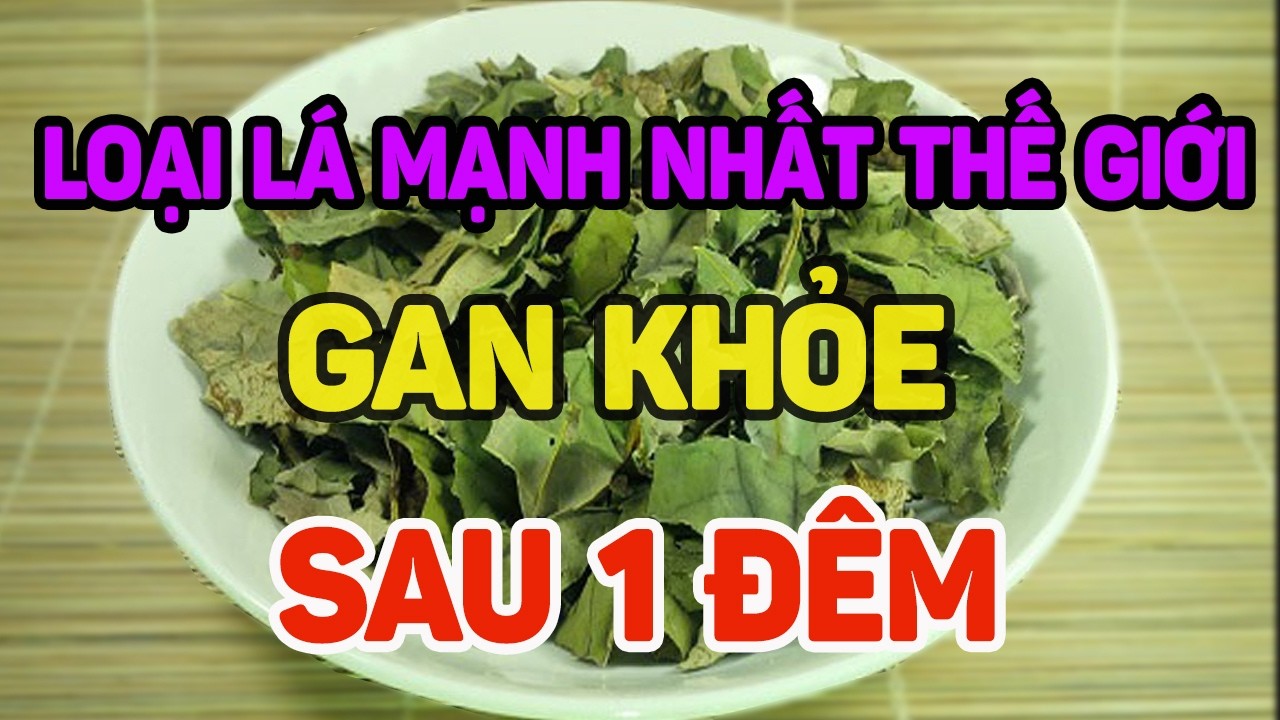 Loại lá mạnh nhất thế giới giúp gan khỏe sau 1 đêm
