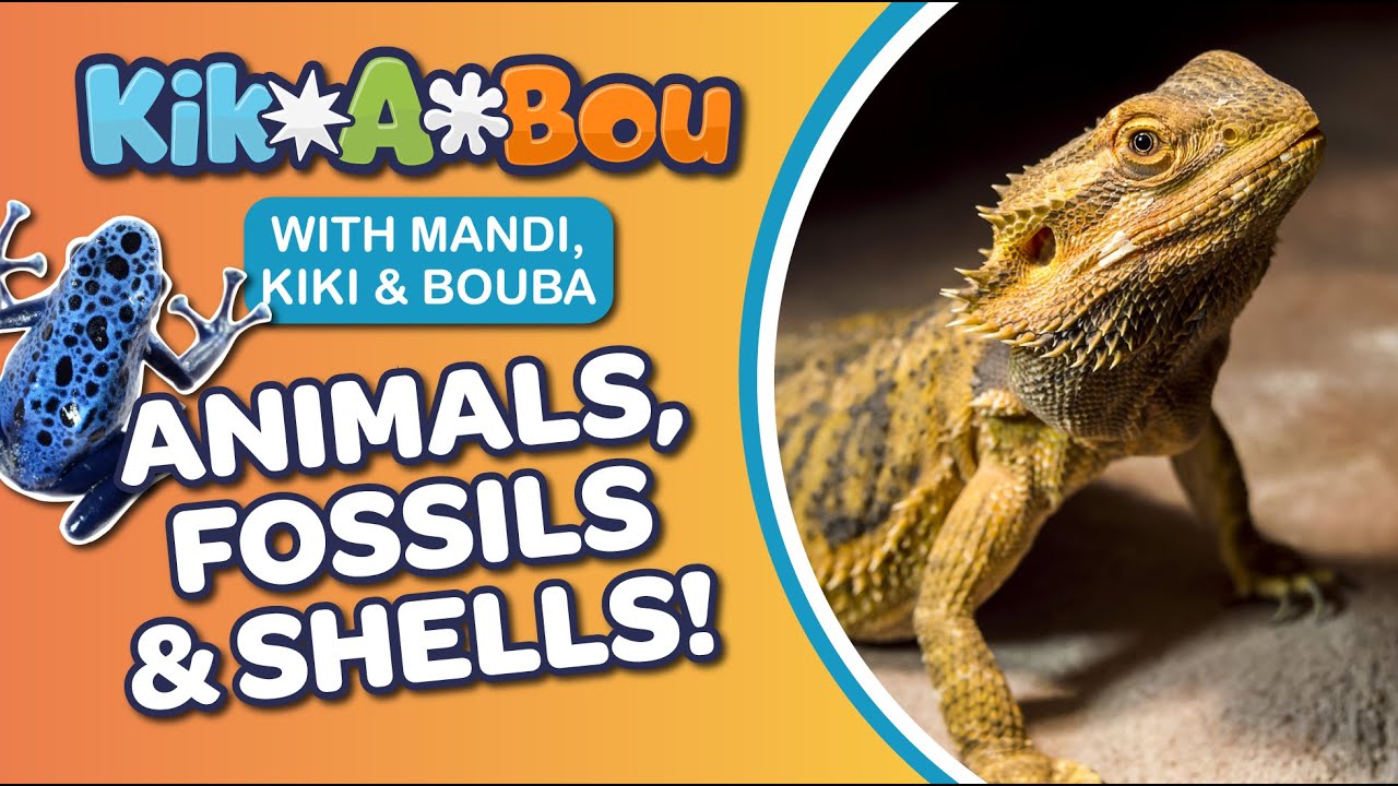 Discover Nature's Treasures at Club Kikabou ⁞ STEAM Learning for Kids & Preschoolers