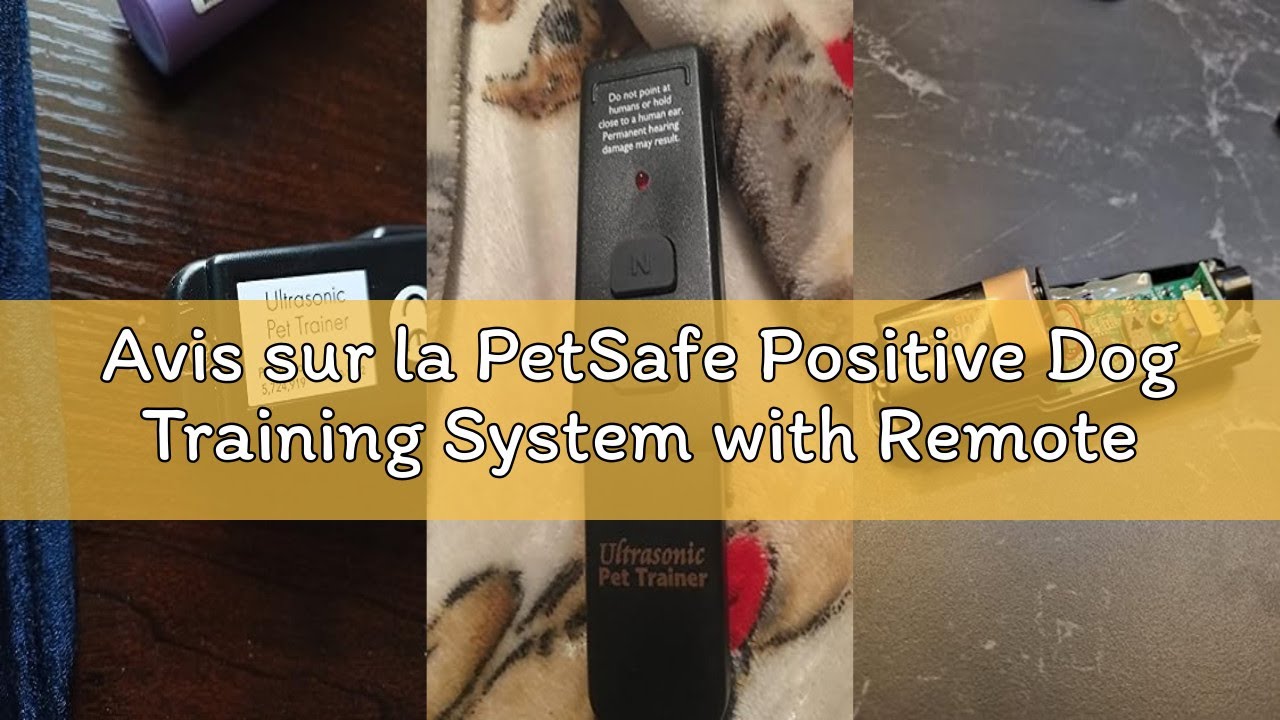 Avis sur la PetSafe Positive Dog Training System with Remote Control 10m Range for Most Dogs - Simil