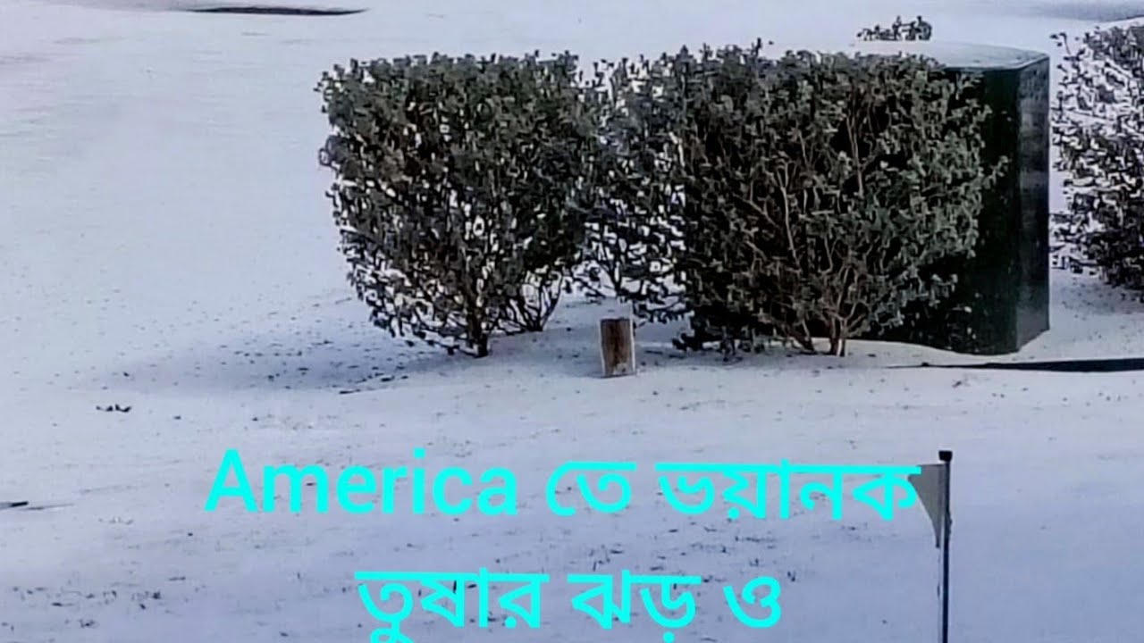 আমেরিকা তে ২০২৬ র ২৪থেকে ২৬সে জানুয়ারী অবধি ভয়ানক তুষার ঝড় ও অবিরাম Snowfall 