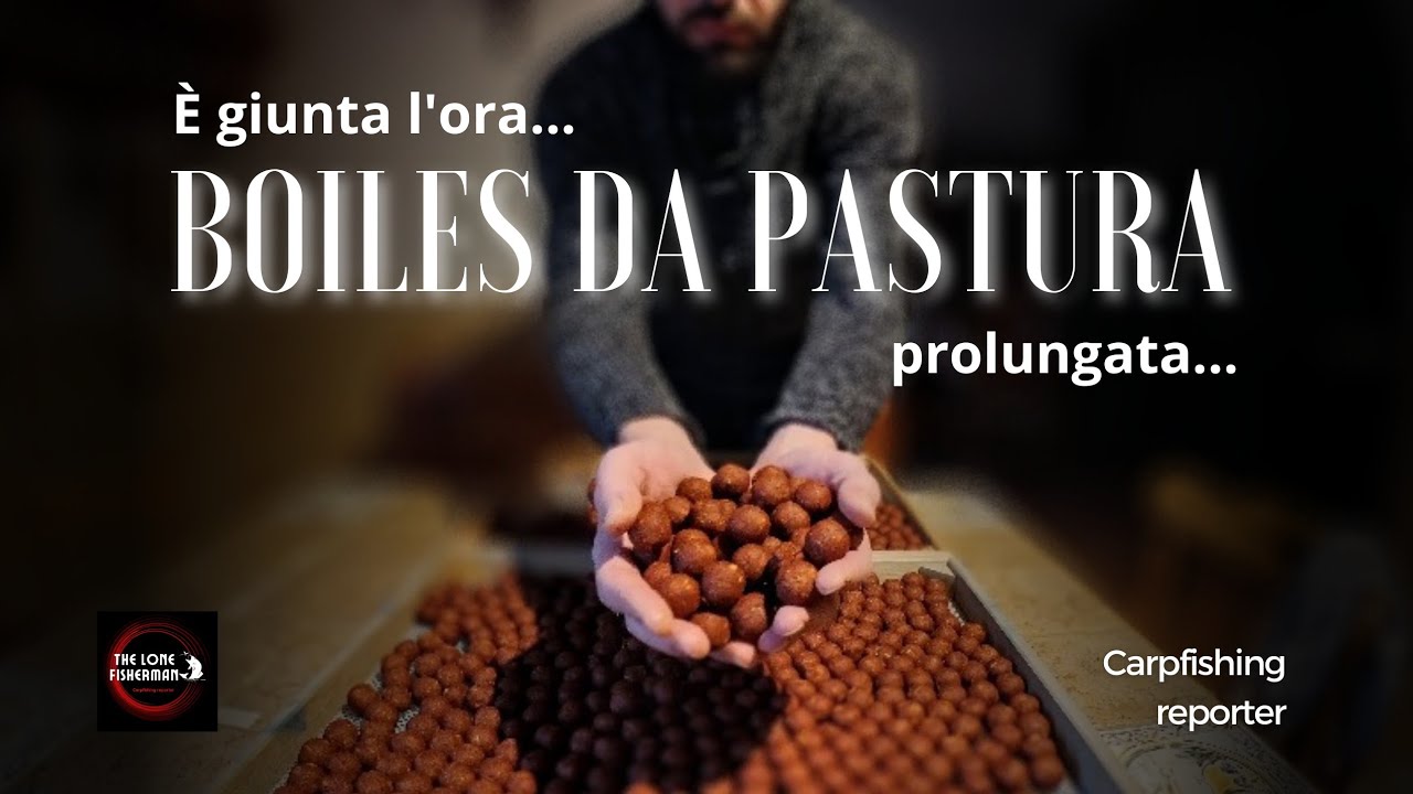 Carpfishing - Boiles da pastura prolungata - per andare sempre a segno anche d'inverno!
