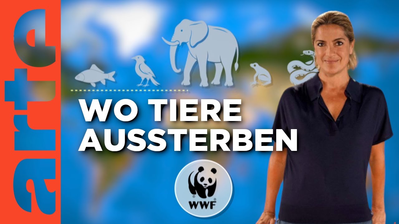 Biologische Vielfalt: Bedrohte Tierarten | Mit offenen Karten | ARTE