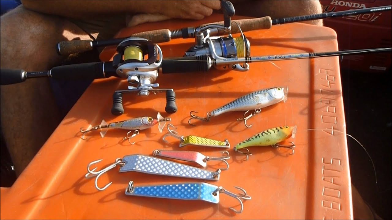How to Catch Big Queenfish | The Hook and The Cook.