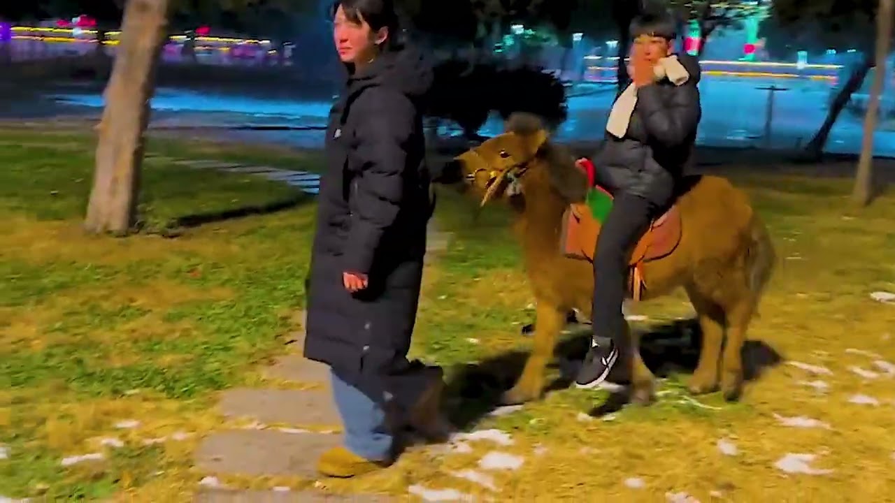 Liu Dagang, a horse breeder, is riding his 96cm miniature horse outdoor, Pulling it's tail as they r