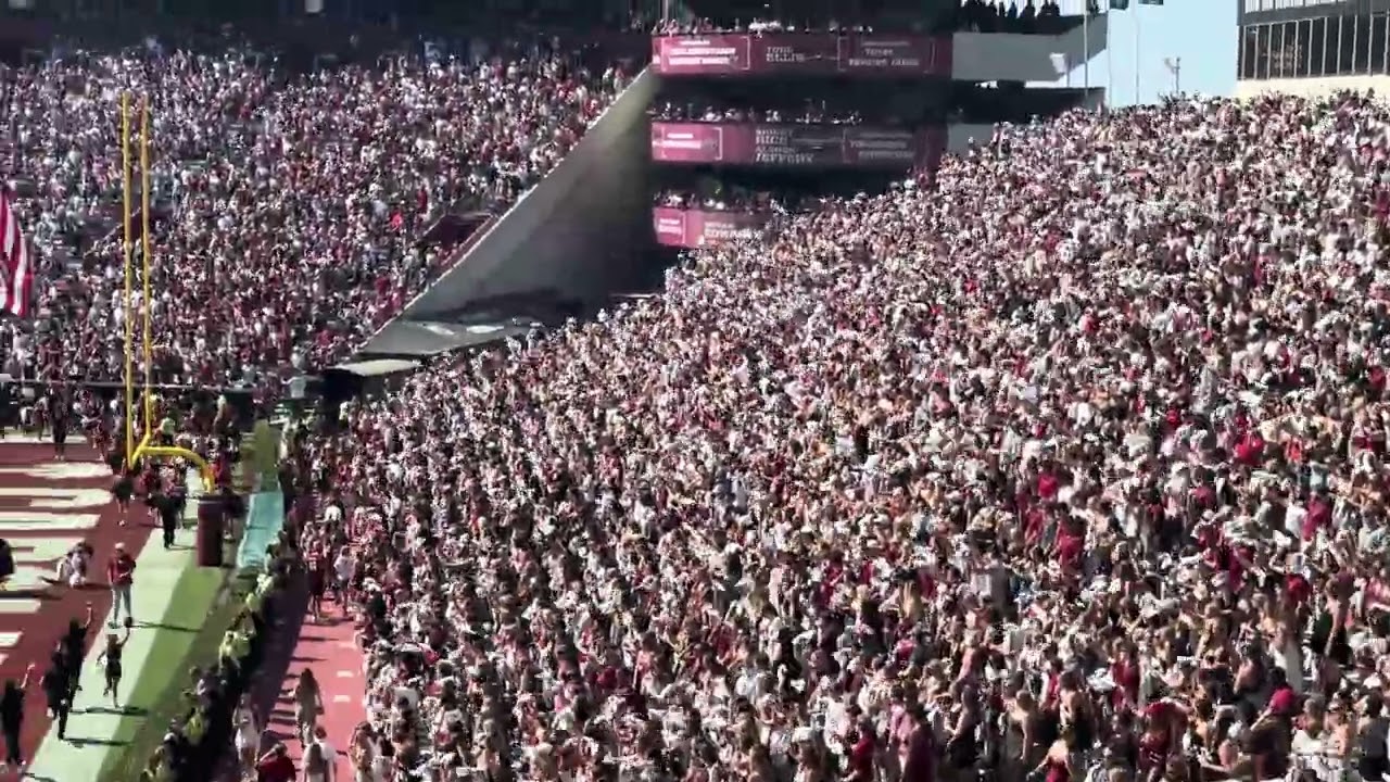 The University of South Carolina football ￼