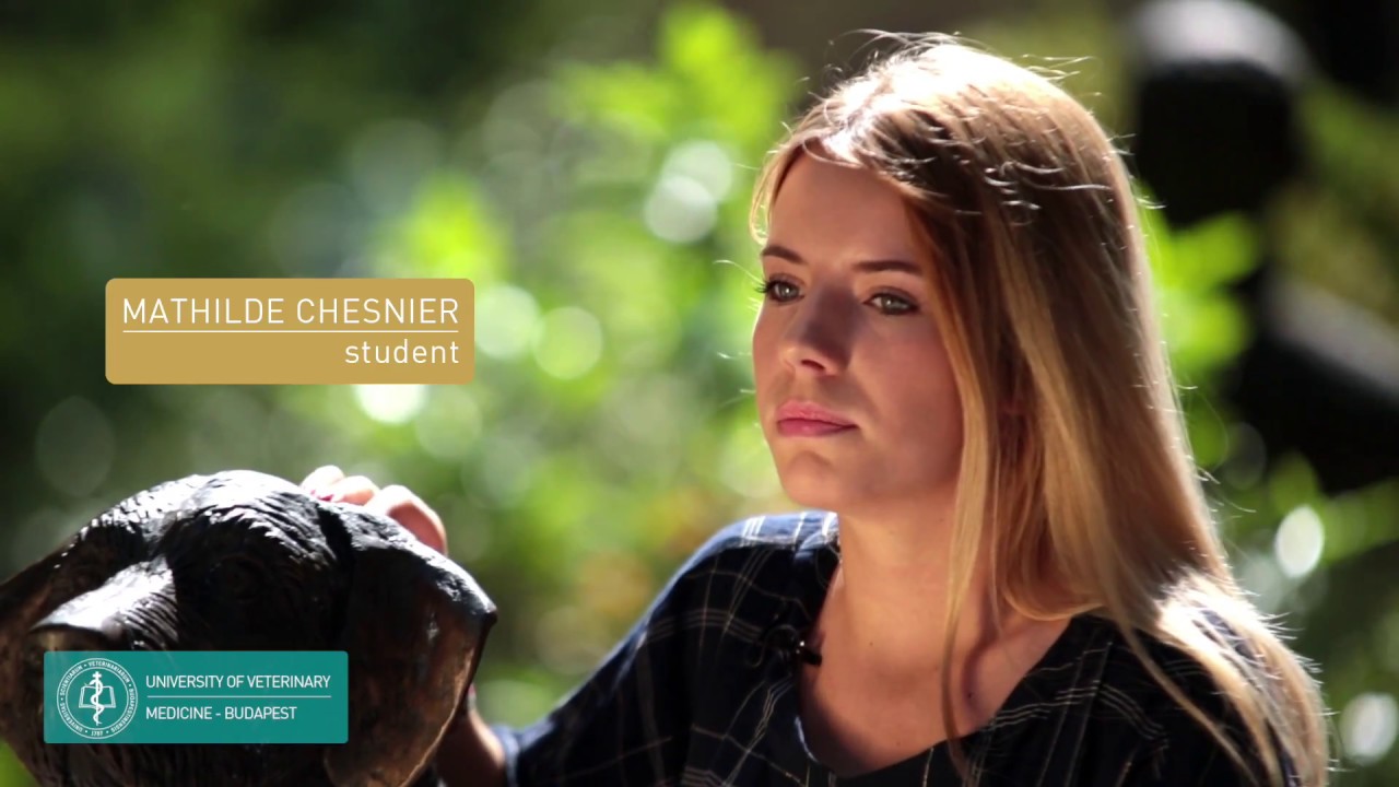 University of Veterinary Medicine - Image Film