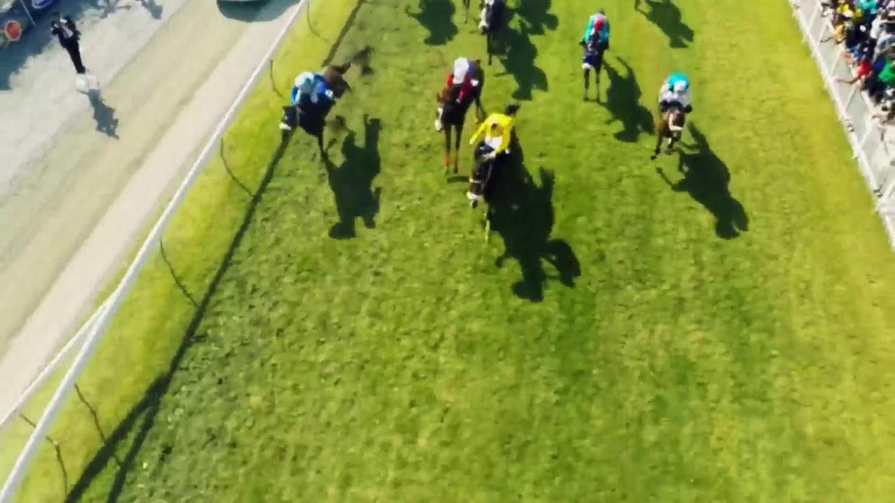 Hippisme : Suivez en direct la 2ème course de la 4ème journée de course au Champ de Mars.