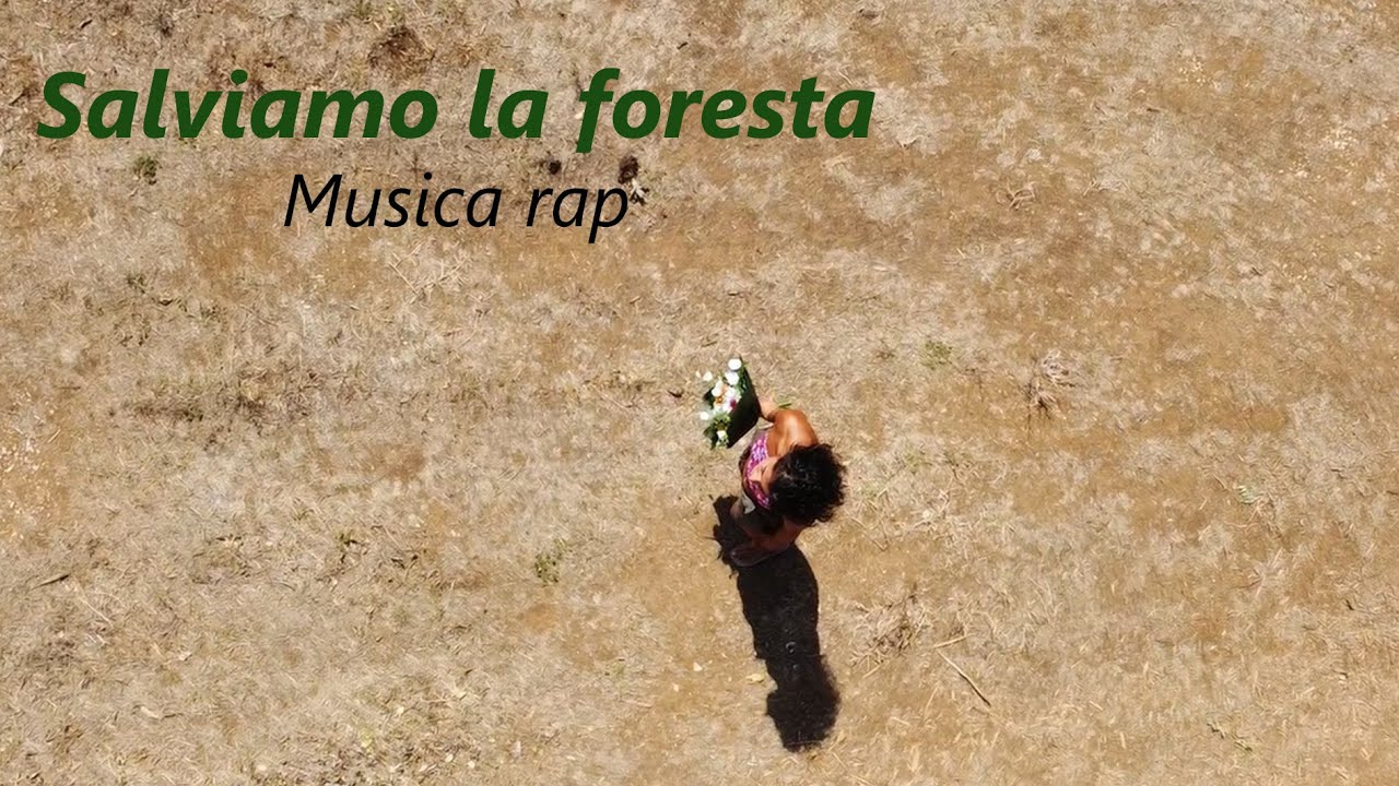 Salviamo la foresta