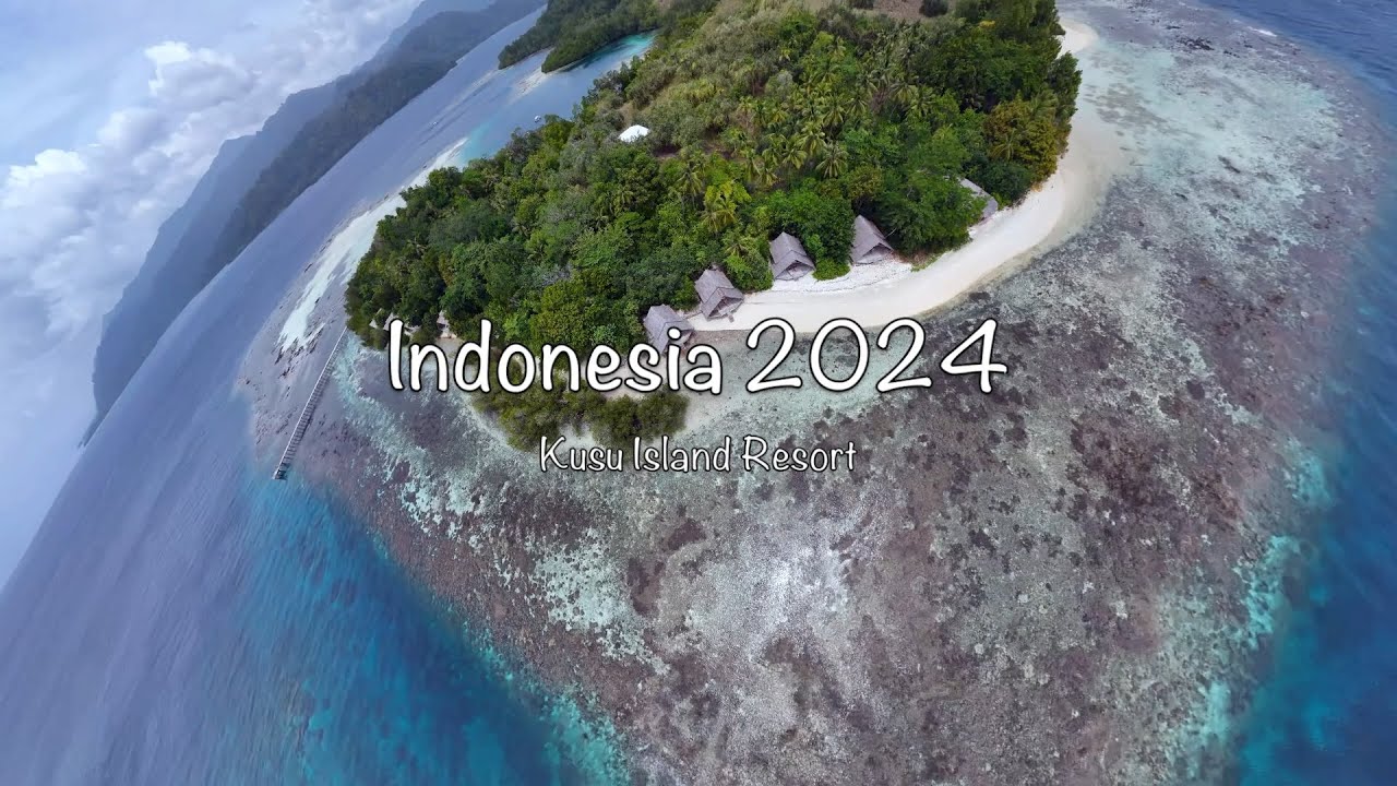 Diving Kusu Island, Indonesia 2024 | Pristine Reefs of South Halmahera