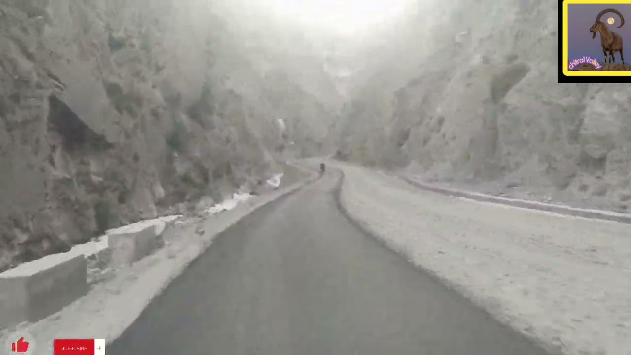 Gilgit to Naltar valley Road trip