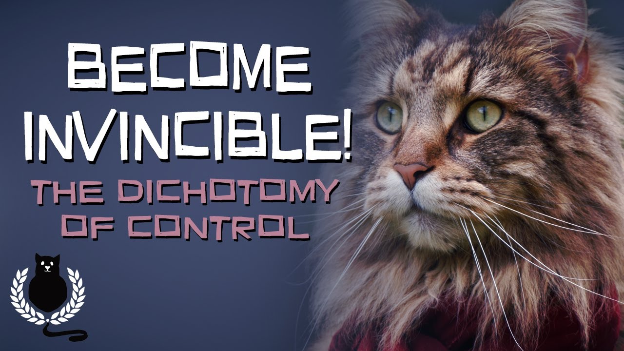 Become Invincible! |  The Dichotomy of Control | Stoicism